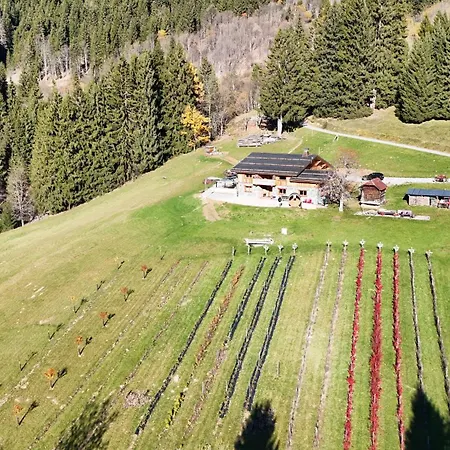 Ferme Du Bouchet - 12 Pers - Chalet Les Gets